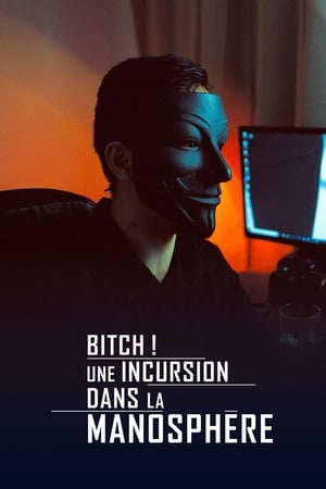 Poster Bitch! Une incursion dans la manosphère 2019