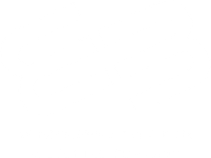 Logo Wiedemann & Berg Film