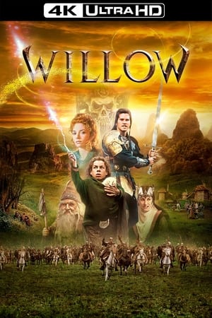 Poster Willow 1988