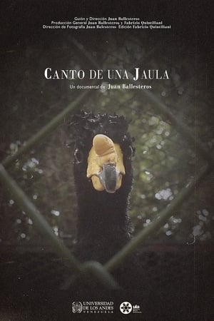 Canto de una jaula