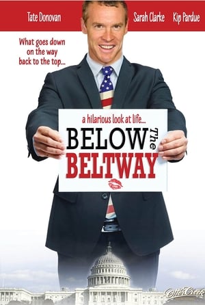 Poster Below the Beltway 2010