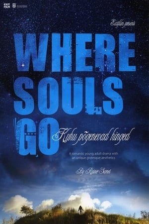 Poster Where Souls Go (2007)
