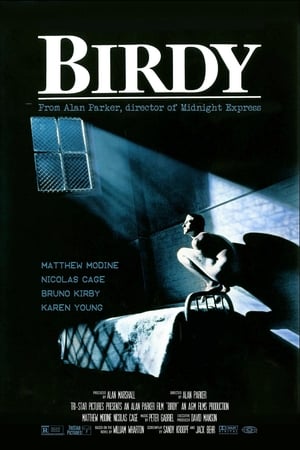 Image Birdy