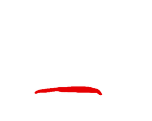 Kamerakameratene Kamerakameratene