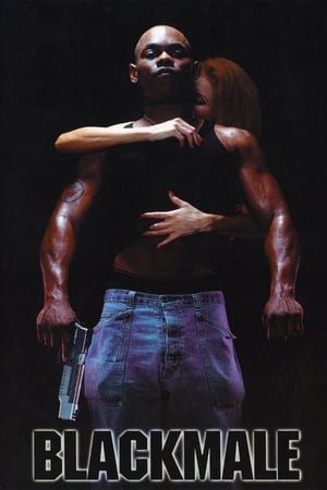 Poster Blackmale (2000)