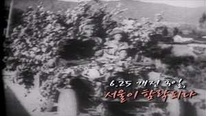 Episode 264
