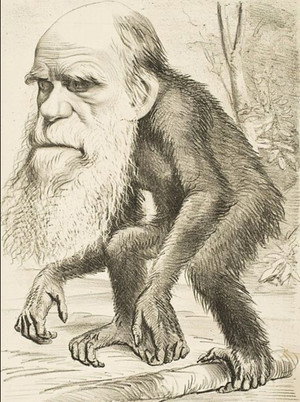 Ce que Darwin ne savait pas encore 2