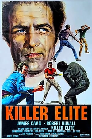 Poster Killer Elite 1975