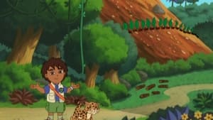 Dora: 4×16