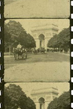 Avenue du Bois du Boulogne