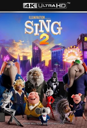 poster Sing 2