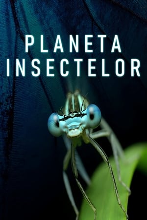 Image Planet Insect