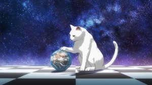 Nyaight of the Living Cat: 1×5
