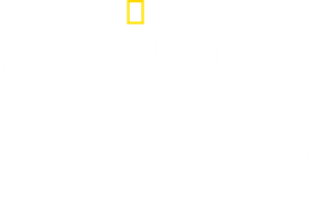 Mandíbulas à Espreita