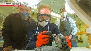 Japanology Plus: 10×3