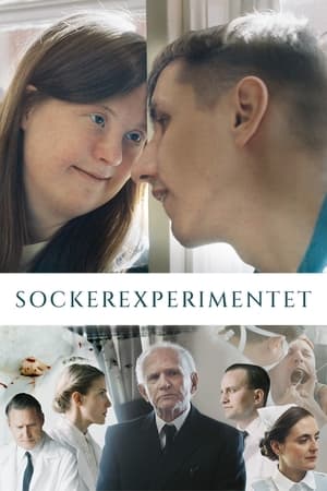 Poster Sockerexperimentet 2023