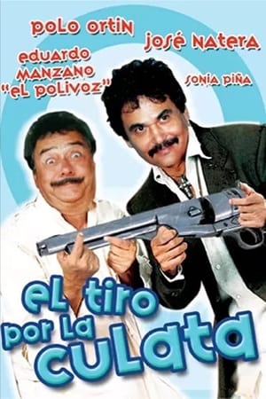 Poster El tiro por la culata (1990)