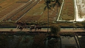 Gowok Javanese Kamasutra (2025)