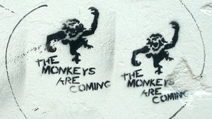 12 Monkeys