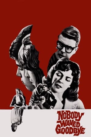 Poster Nobody Waved Goodbye (1964)