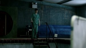 The Cured (2018)