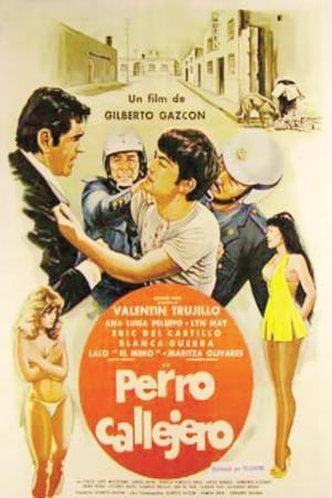 Poster Perro callejero (1980)