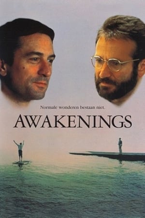 Awakenings 1990