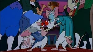 Pinky y Cerebro: 1×8