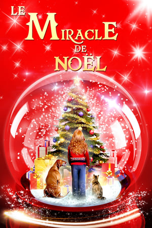 Poster Le Miracle de Noël 2013
