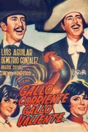Poster Gallo corriente, gallo valiente 1966