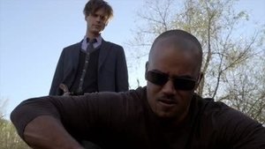 Criminal Minds: Stagione 9 x Episodio 16