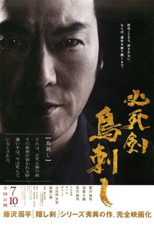 Poster Меч отчаяния 2010
