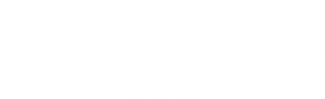 Synduality Noir — Logos 2