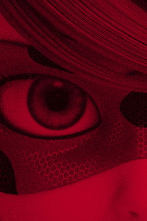 poster Miraculous World: Paris, Tales of Shadybug and Claw Noir