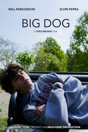 Big Dog 2