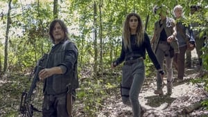 The Walking Dead: 10×8 ( Dublado Online HD 720p )