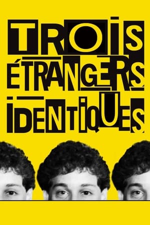 Poster Trois étrangers identiques 2018