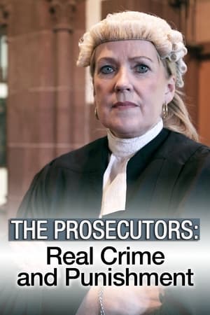 Poster The Prosecutors 2016