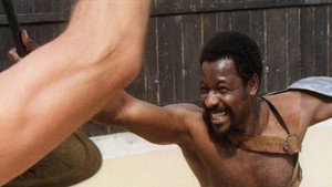 The Arena (1974)