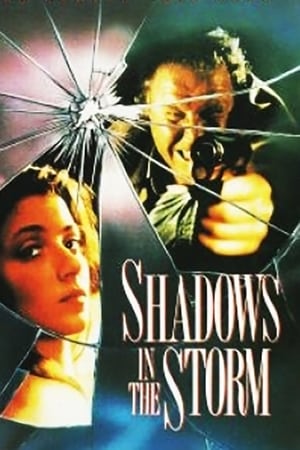 Poster Shadows in the Storm 1988