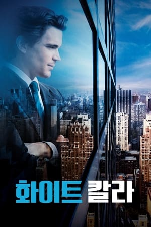 Poster 화이트 칼라 2009