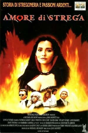 Poster Amore di strega 1987