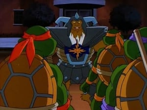 Teenage Mutant Ninja Turtles: 8×4