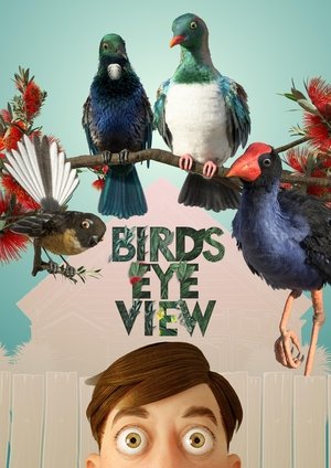 Affiche de Bird's-Eye View