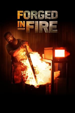 Forged in Fire - Wettkampf der Schmiede: Staffel 6