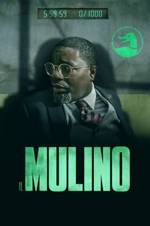 Il Mulino