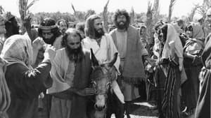 La vida pública de Jesús (1979) [Latino – Ingles] POR MEDIAFIRE
