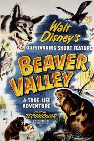 Poster Beaver Valley 1950