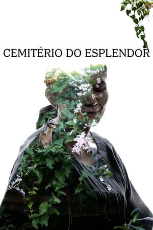 Assistir Cemitério do Esplendor Online Grátis