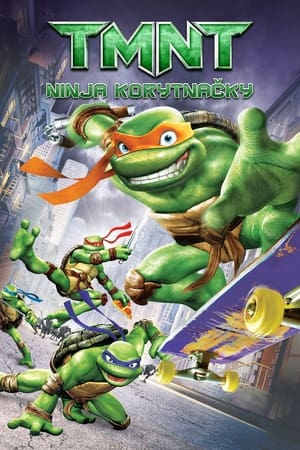 Poster TMNT: Ninja Korytnačky 2007